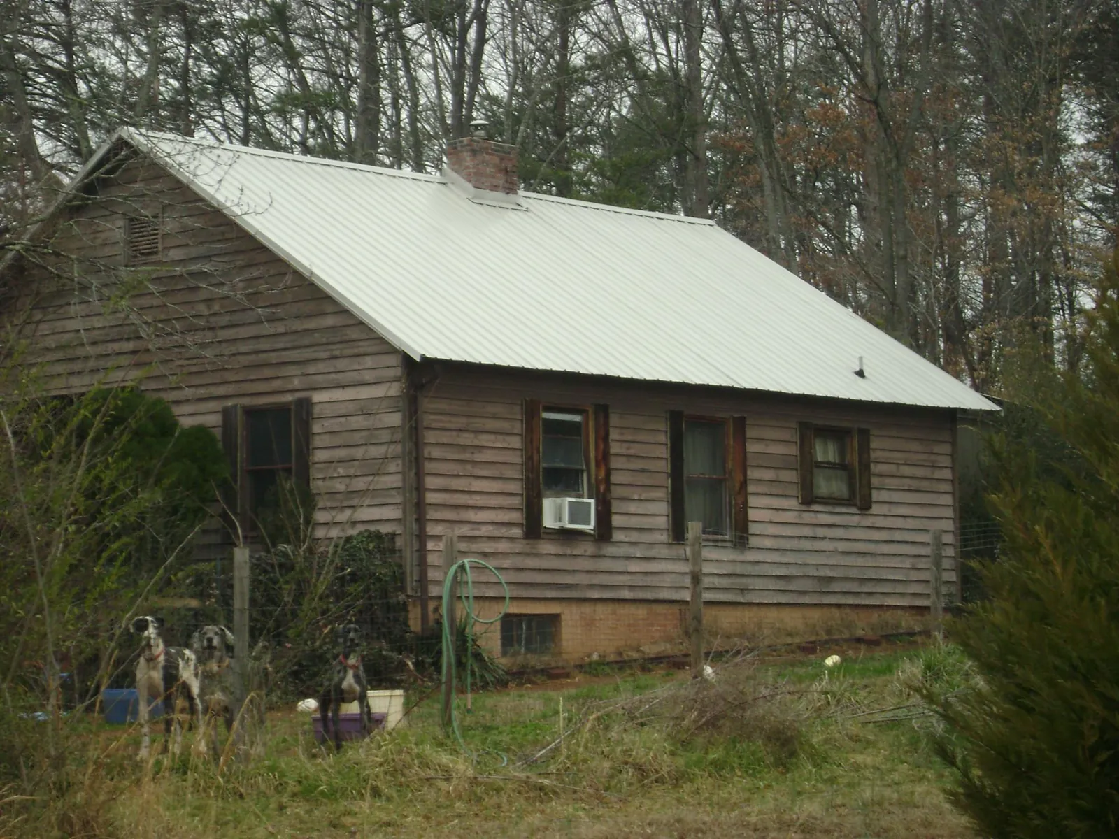 White metal roof on an old wood sided farmhouse, from a Asphalt Shingle Roof Repair job in Mears